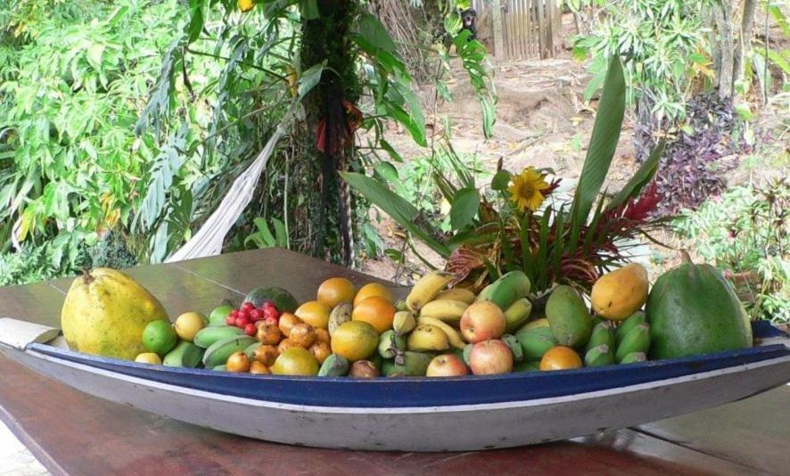 Hotel Eco Sitio Nosso Paraiso Saquarema Extérieur photo